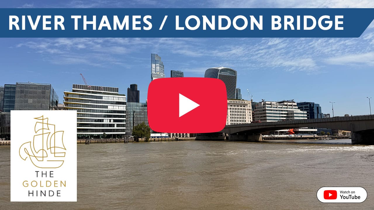 Watch our London Bridge Webcam now on Youtube